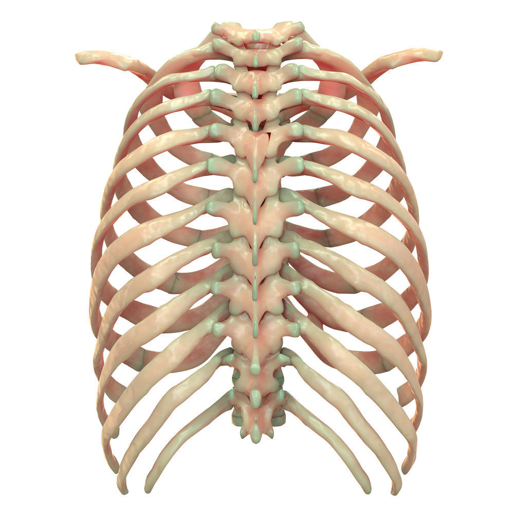 Costovertebral Joint Sprain