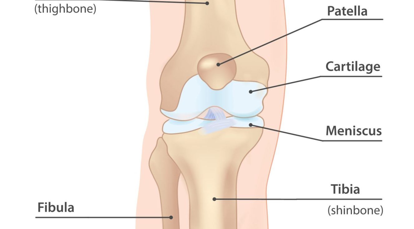 Meniscal injury