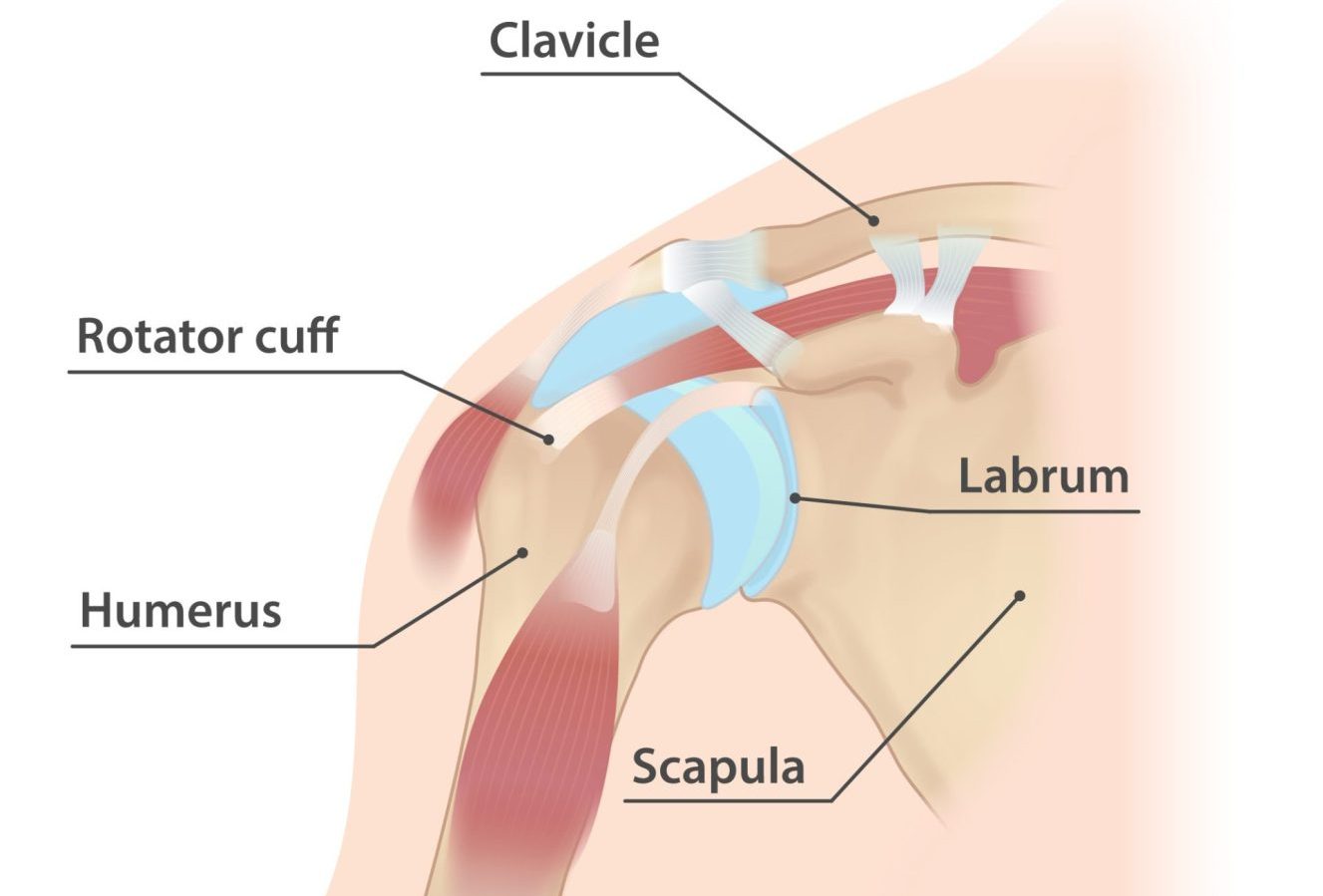 Subacromial Pain Syndrome