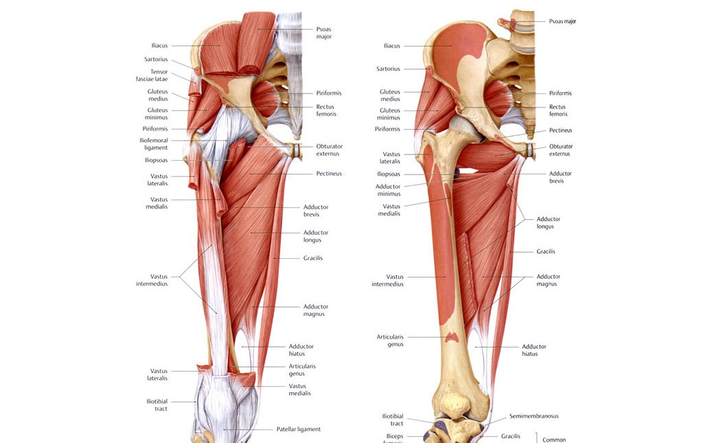 Adductor Strain