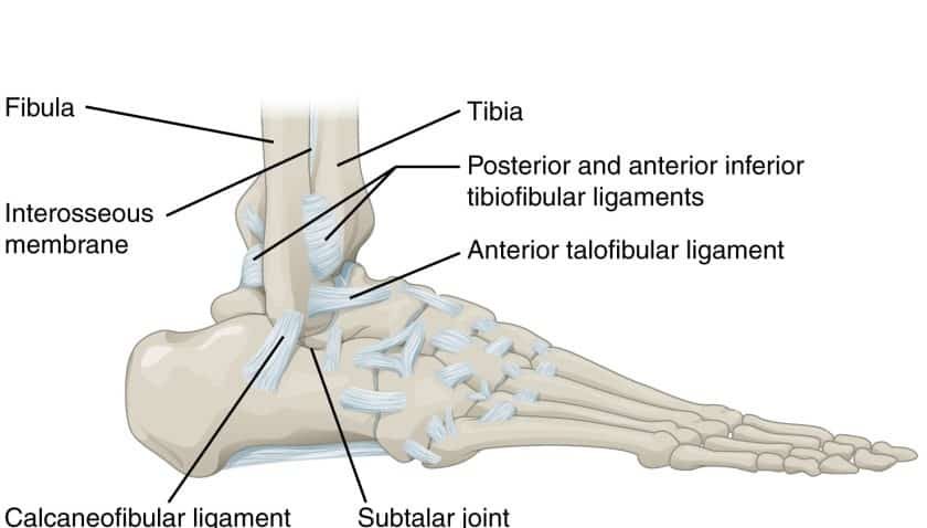 High Ankle Sprain (Syndesmosis Injury)